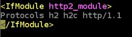 HTTP2 프로토콜 추가